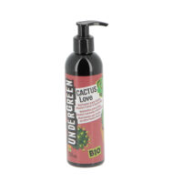 efeutute englisch Kaufen Sie Efeutute - Epipremnum Aureum main image 1