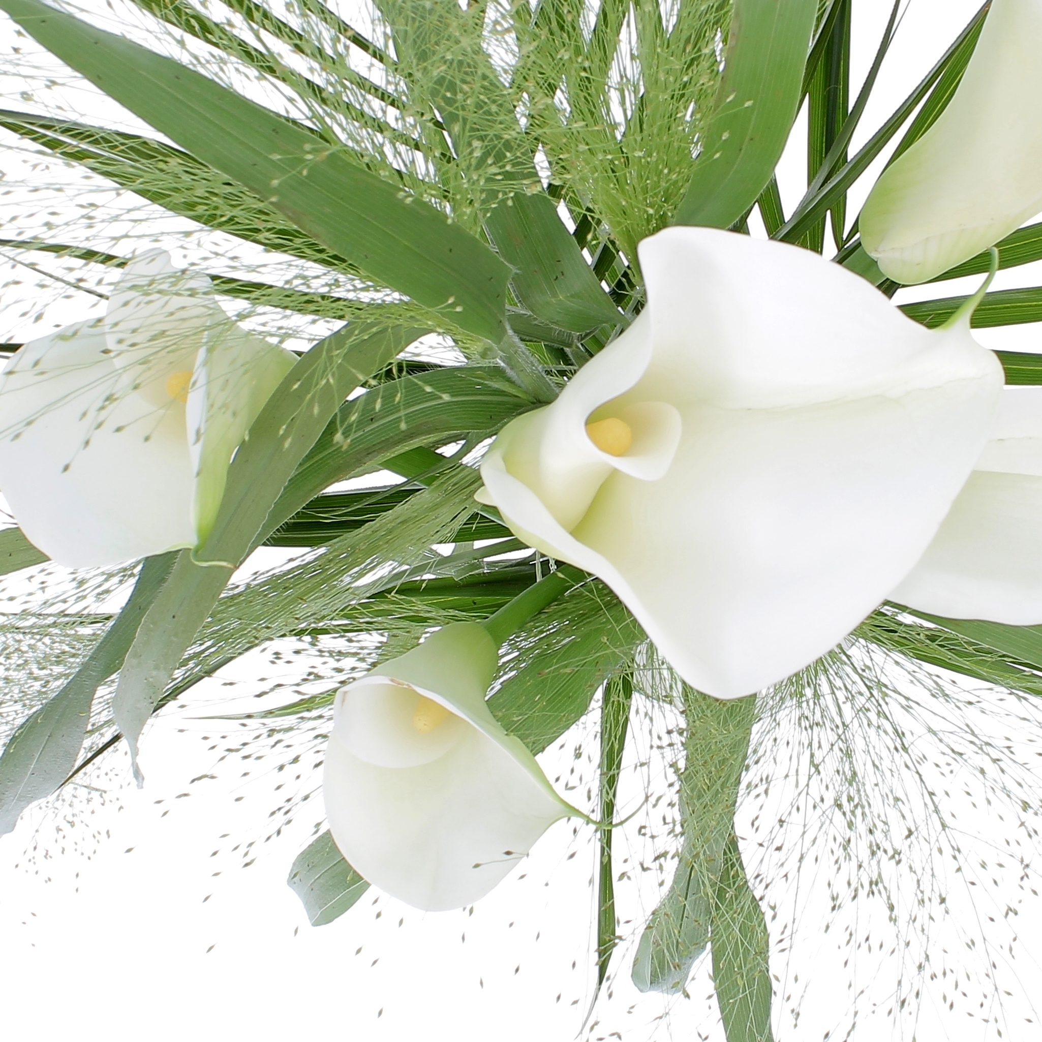 FANTASIA DI CALLE-0002