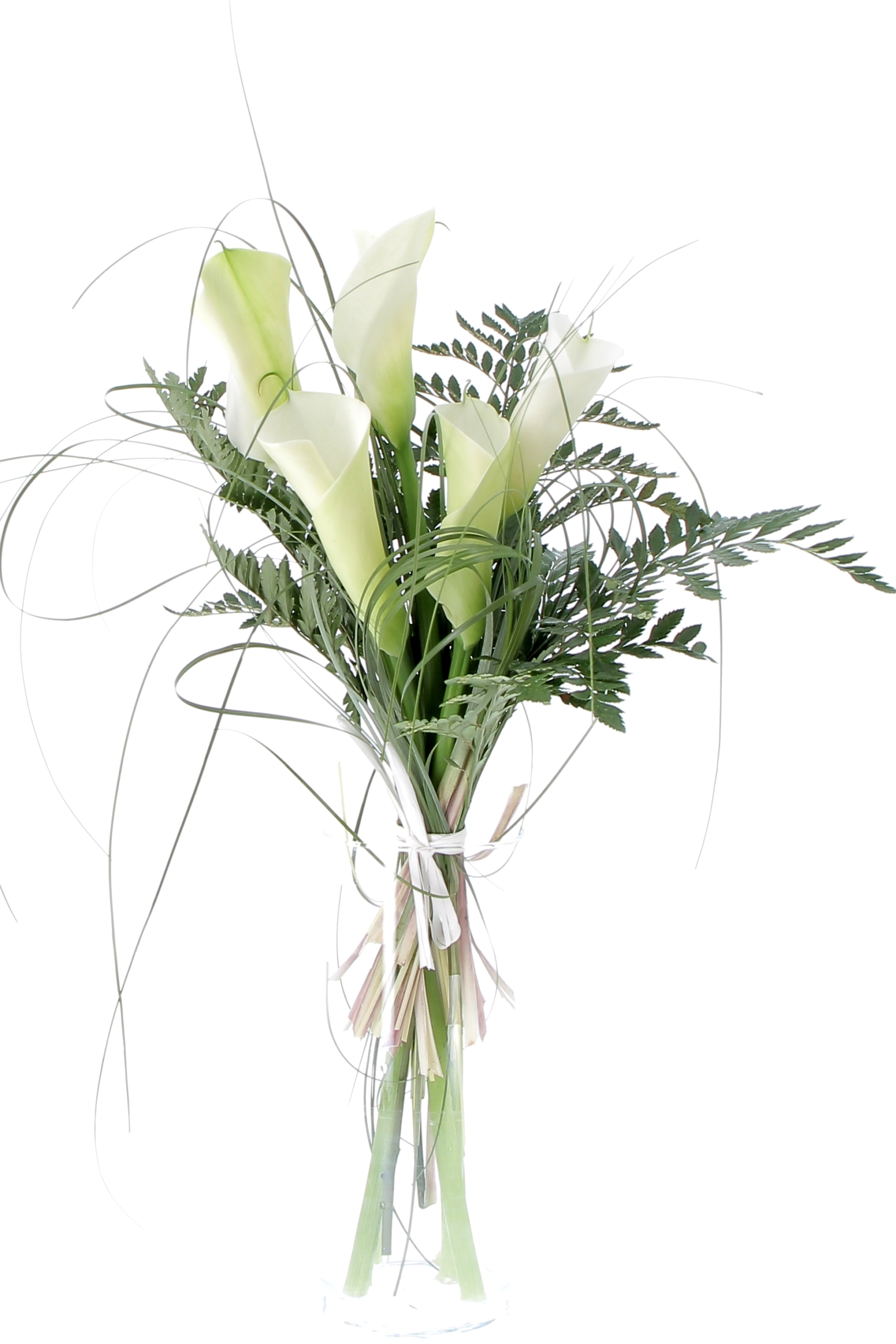 L'ELEGANZA DELLA CALLA-0001