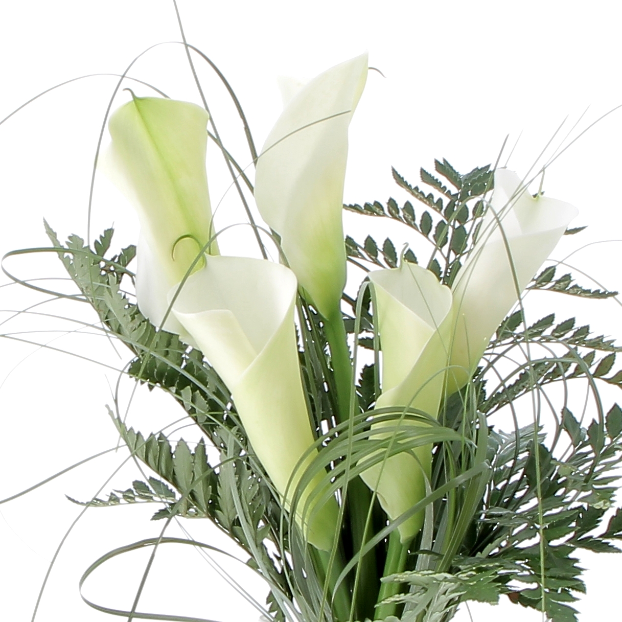 L'ELEGANZA DELLA CALLA-0002