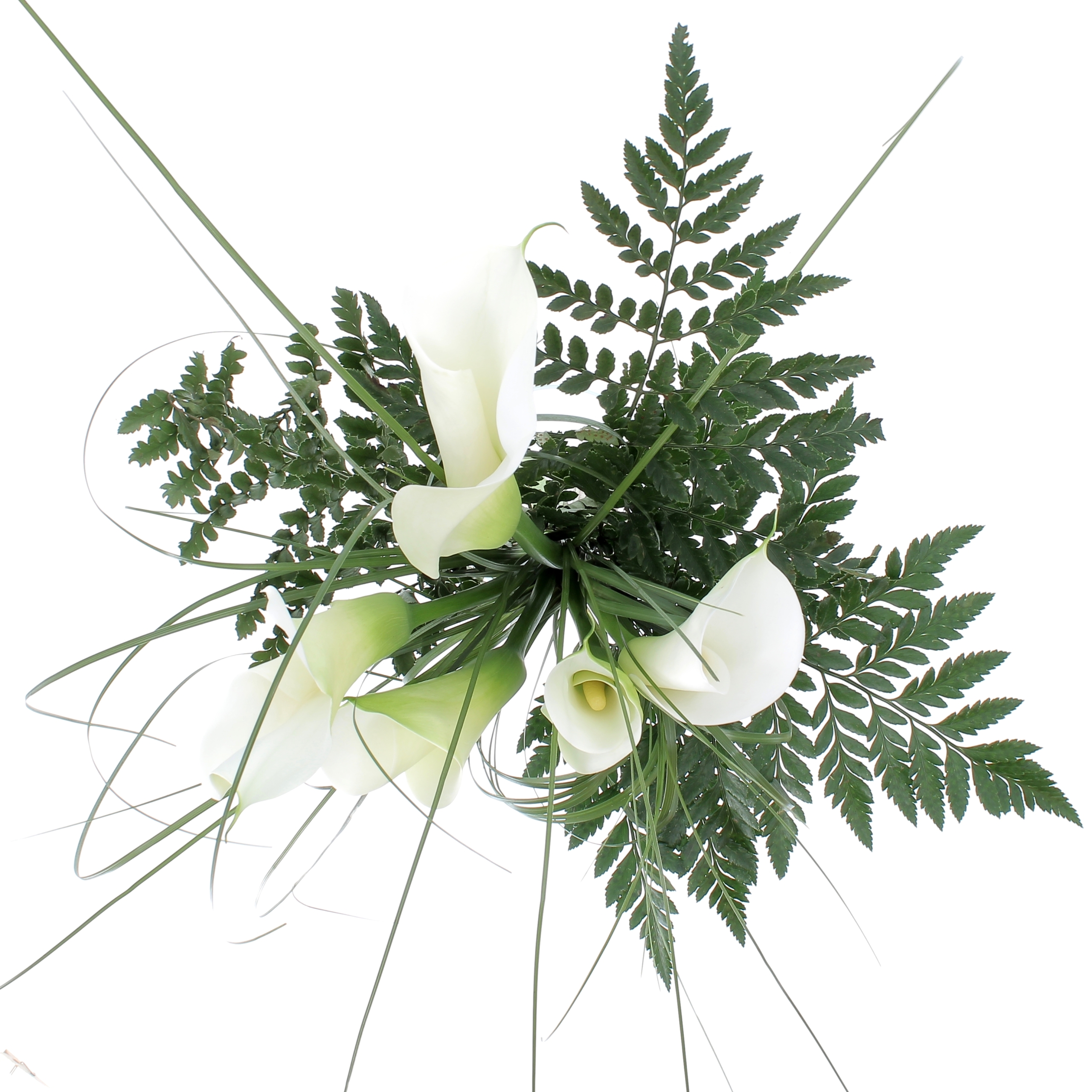 L'ELEGANZA DELLA CALLA-0003