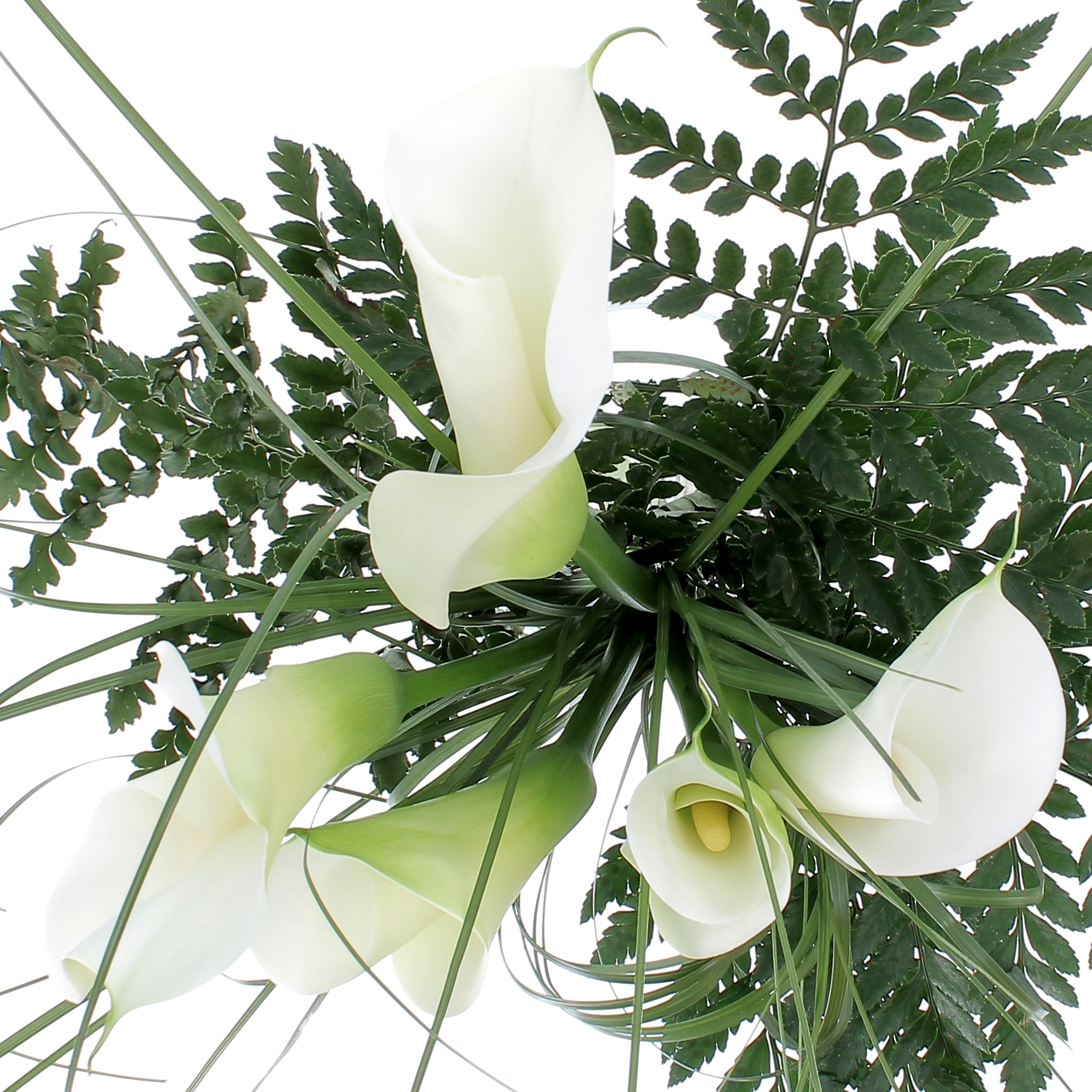 L'ELEGANZA DELLA CALLA-0004